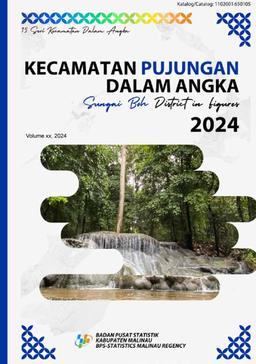 Pujungan District In Figures 2024